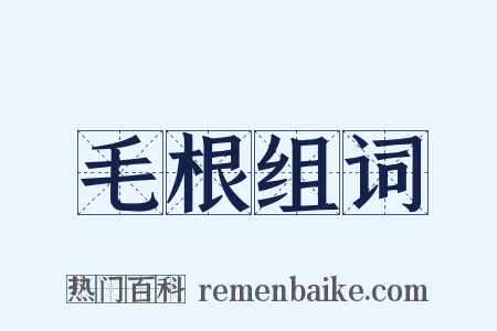 毛根组词是什么意思的图片